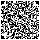 QR code with Baldwin William M Pe Pa contacts