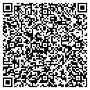 QR code with Psi Controls Inc contacts