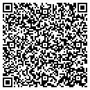 QR code with Pursuit Engineering contacts