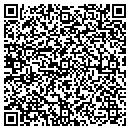 QR code with Ppi Consulting contacts