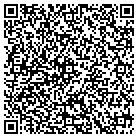 QR code with Professional Engineering contacts