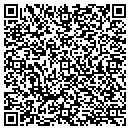 QR code with Curtis Dyle Consulting contacts