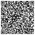 QR code with Critical Mass Consulting contacts