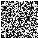 QR code with Cybllings Inc contacts