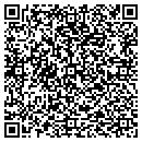 QR code with Professional Consulting contacts