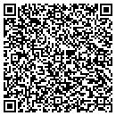 QR code with Collins Jm Consulting contacts