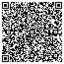 QR code with Pyramid Engineering contacts