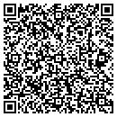 QR code with Crusoe Design Services contacts