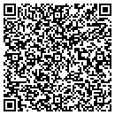 QR code with Team Analysis contacts