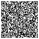 QR code with Ppe Engineering contacts