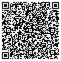 QR code with Pitnew contacts