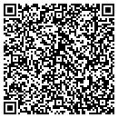 QR code with Precise Systems Inc contacts