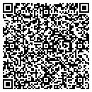 QR code with Conceptiona Designs contacts