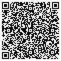 QR code with Cintel Networks Inc contacts