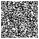QR code with Carrier Engineering contacts