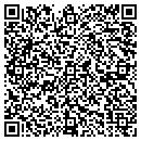 QR code with Cosmic Solutions LLC contacts