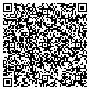 QR code with Cyber Systems contacts