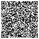 QR code with Carl Selinger Service contacts