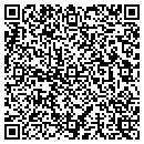 QR code with Programmed Engineer contacts