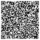 QR code with Pulizzi Engineering Inc contacts