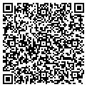 QR code with Volute contacts