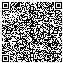 QR code with Cobra Networks LLC contacts