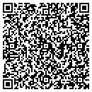 QR code with Premier Automation contacts