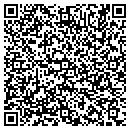 QR code with Pulaski Engineering CO contacts