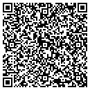 QR code with Process Engineers And contacts