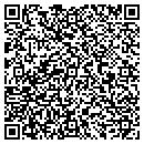 QR code with Bluebay Technologies contacts