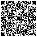QR code with Excelsior Group LLC contacts