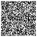 QR code with Excelsior Group LLC contacts
