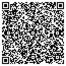 QR code with Bliesner Engineering contacts