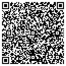 QR code with Cumulus Engineering contacts