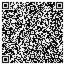 QR code with Capstone Technology contacts