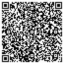 QR code with Premier Sale Engineer contacts