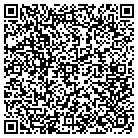 QR code with Pt2 Consulting Engineering contacts