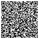 QR code with Professional Engineers contacts