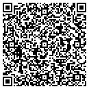 QR code with Protoshields contacts