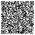QR code with D G Nelson Jr Pe contacts