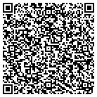 QR code with PE Henry the Handyman contacts