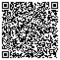 QR code with Ldm Pe contacts