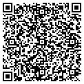 QR code with V-Tec contacts