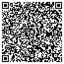 QR code with Professional Engineer contacts