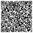 QR code with Professional Engineer contacts