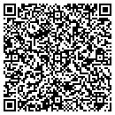 QR code with Professional Engineer contacts
