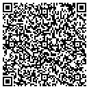 QR code with Prosim L L C contacts