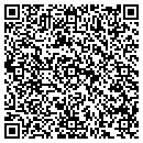 QR code with Pyron James PE contacts