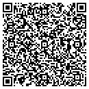 QR code with Puns & Assoc contacts
