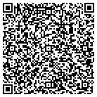 QR code with Pulido Collant Claudia contacts